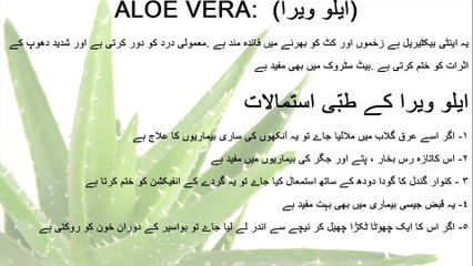 Aloe Vera ke fayde aur is se bimari ka ilaj
