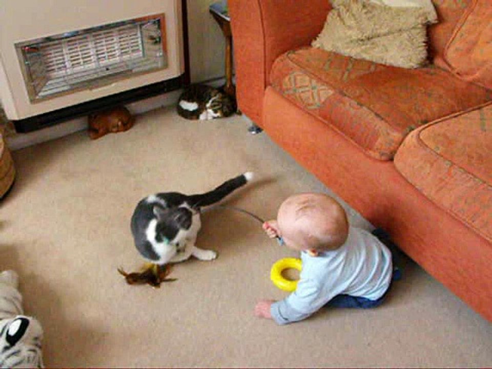 Baby Alexander playing with his cat Pilchard