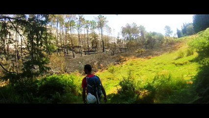 Serra da Freita - 11.08.2016
