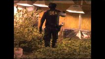EE.UU. rechaza sacar la marihuana de la lista de drogas más peligrosas