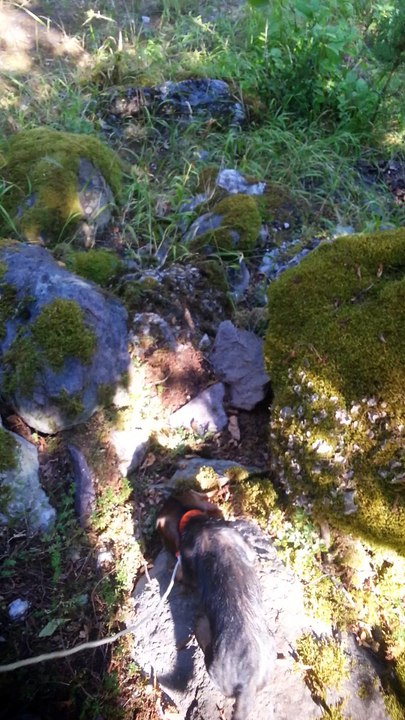 maya 1er piste 2 mois