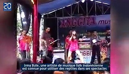 Une chanteuse meurt, mordue par un cobra pendant un concert