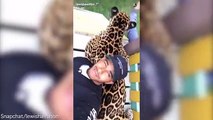 Lewis Hamilton posts clips and selfies with big cats to Snapchat