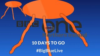 R4 One Northern Ireland - Big Blue Live (Jellyfish) sting -10 days to go - August 2016