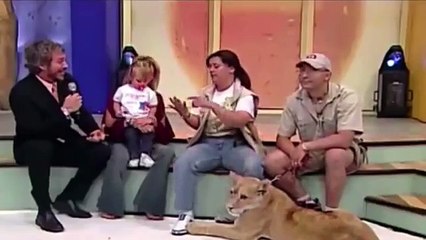 lion tries to kill baby on live TV but mother just laughs