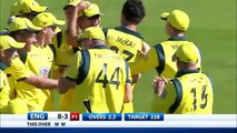 Australian Cricket team Top 5 Hat tricks in Cricket History !!!