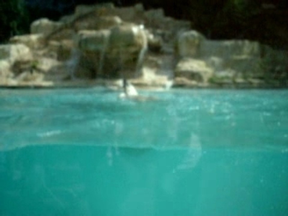 zoo amneville