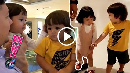 Romantisme Baby El dan Baby Gempita - Cumicam 12 Agustus 2016