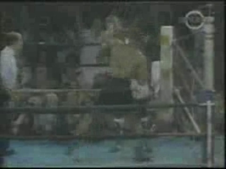 FIGHTS-ali,hunt,silva,cro-cop,lebanner,tyson