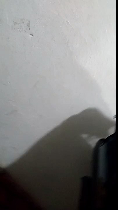 Prueba barrio mexico