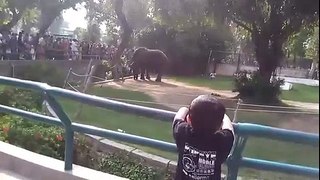 Vist Lahore zoo