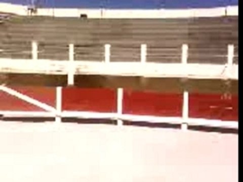 Moi qui saute les barrières