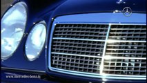 Focus on design | Counto Motors | Mercedes Benz - Goa