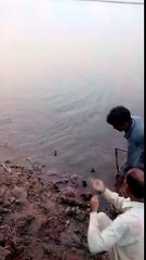 Fish Hunting at  river sind attock Pakistan 12 kg ruhu