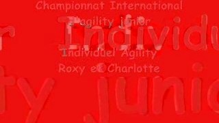 Championnat international indiv agility Roxy charlotte