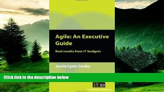 READ FREE FULL  Agile: An Executive Guide  READ Ebook Full Ebook Free