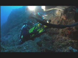 NATURE | Shark Mountain | The Dance of the Marbled Rays | PB