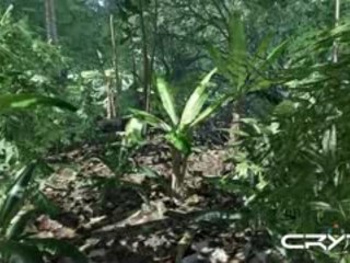Demos Crysis
