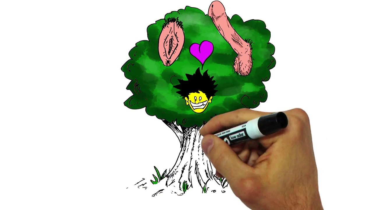 DRAW MY LIFE