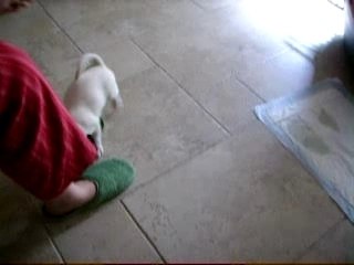 Coré et les pantoufles !!