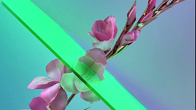 Flume - Never Be Like You feat. Kai (Martin Solveig Remix)