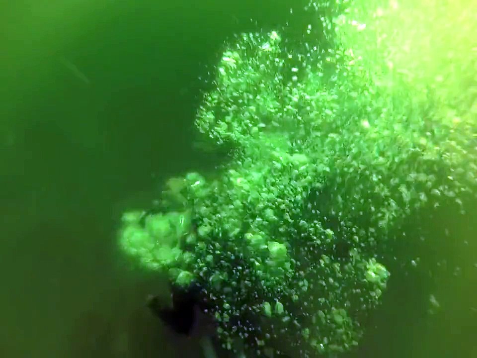 Une femme est prise d'une crise de panique en plongée sous-marine