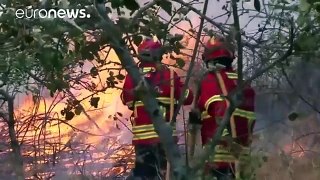 Portugal  le feu maîtrisé à Madère mais les incendies continuent sur le continent