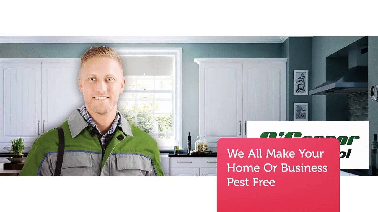 O'Connor Pest  & Termite Control in Simi Valley, CA