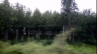 Train Journey to Lalkuan