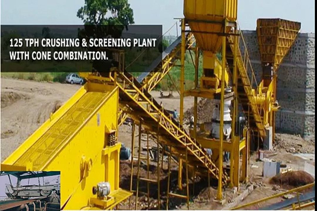 gold concentrator plants