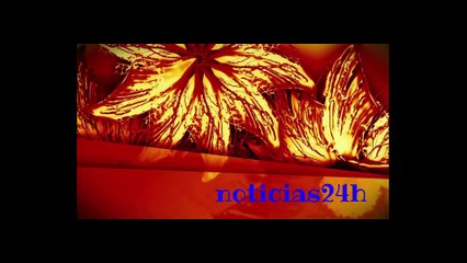 Mireia Belmonte ya es de oro puro al ganar los 200 mariposa