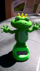 grenouille solaire ....