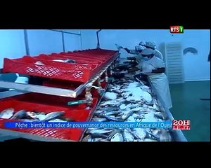 Pêche bientôt un indice de gouvernance des ressources en Afrique de l'Ouest