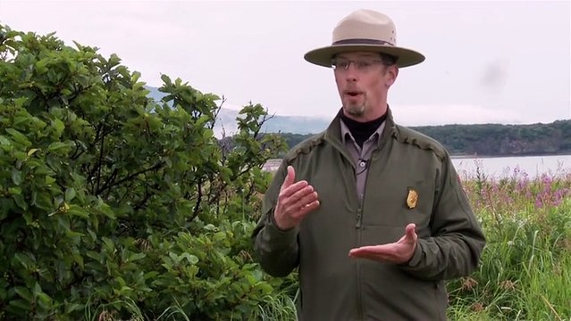 Grizzly - Interview Roy Wood VO