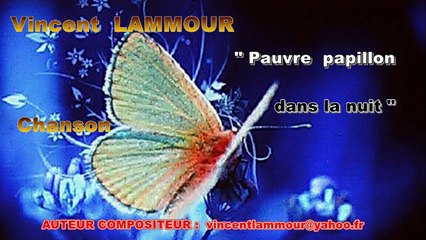 Vincent LAMMOUR Pauvre papillon dans la nuit Chanson