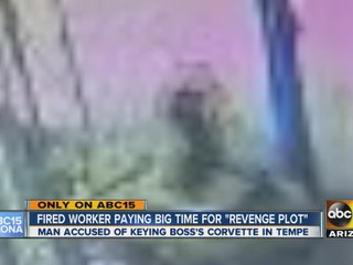 Fired worker paying big time for ‘revenge’ plot against former boss