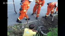 Firefighters rescue pregnant buffalo trapped in a well