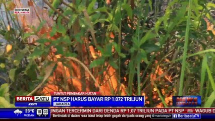 Download Video: PT NSP Pembakar Hutan Riau Dihukum Bayar Rp 1 Triliun Lebih