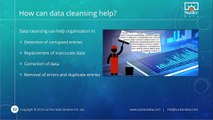 What to Expect When Investing in Data Cleansing Services?