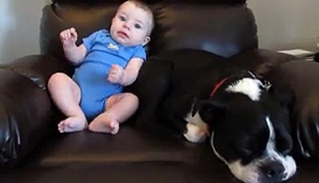 Quand ce bébé lâche un pet, la réaction du chien est à mourir de rire !