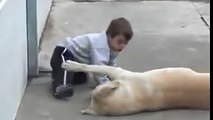 La dimostrazione d'amore di un cane verso il suo padroncino con la sindrome di down