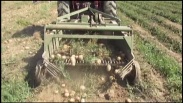 Sandıklı'da Patates Hasadı- Sandıklı Ziraat Odası Başkanı Süleyman Yıldız'ın Konuşması- Patates...