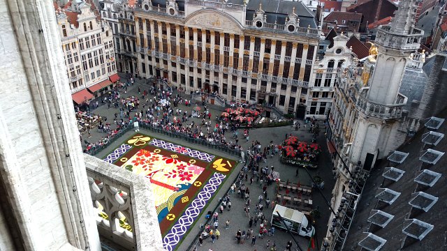 Le tapis de fleurs de la Grand Place de Bruxelles