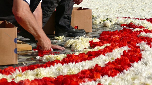 Le tapis de fleurs fête l'amitié belgo-japonaise