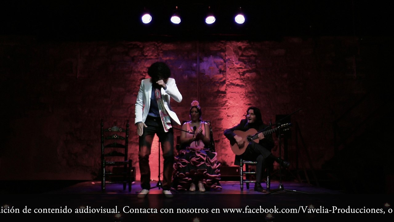 Vavelia Producciones. Flamenco Documental.