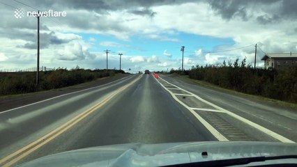 Bizarre sight for motorists as plane spotted on road