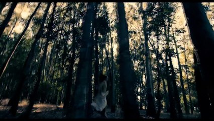 Les Lettres Portugaises