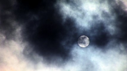 L&#039;Echappée, à la Poursuite d&#039;Annie Le Brun (3)