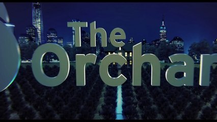 Nuit Blanche entre Amis - VO