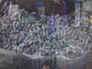 Gulinelli di Mancino Davide (Bologna)